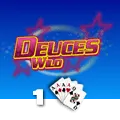Deuces Wild 1 Hand - RICHES138