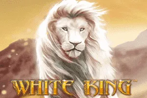 Playtech : White King - RICHES138