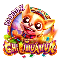 Facai : CHILIHUAHUA - RICHES138