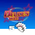 Deuces Wild 5 Hand - RICHES138
