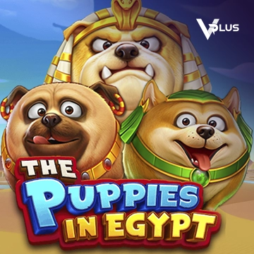 Vplus : The Puppies In Egypt - RICHES138