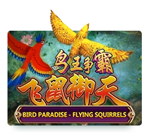 Bird Paradise - RICHES138