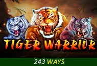 Spadegaming : Tiger Warrior - RICHES138