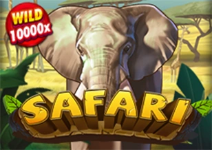 AFB : Safari - RICHES138