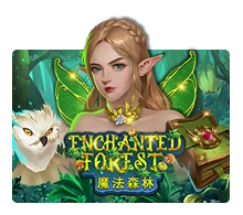 Enchanted Forest - RICHES138